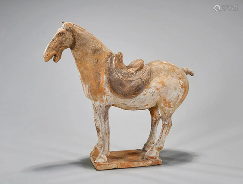 Chinese Tang Dynasty Pottery Horse