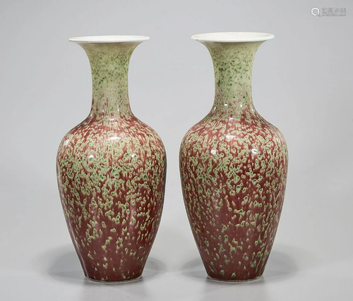 Two Chinese Porcelain Vases