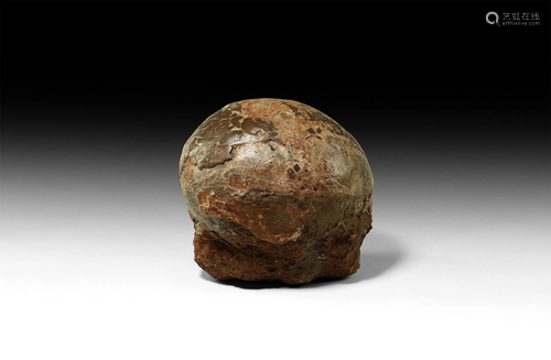 Natural History - Fossil Hadrosaur Dinosaur Egg