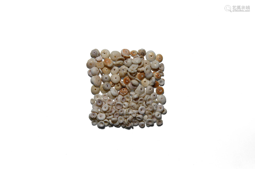 Shell Bead Group