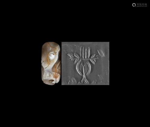 Cylinder Seal