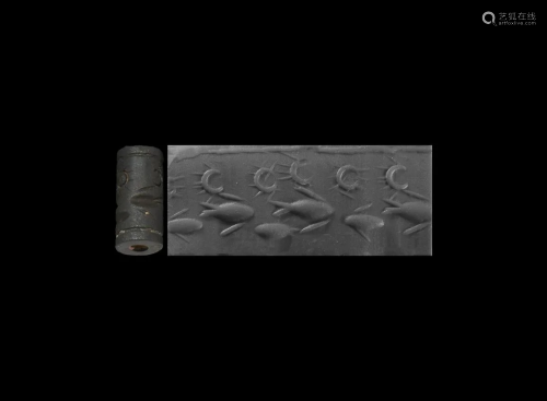 Cylinder Seal with Fish