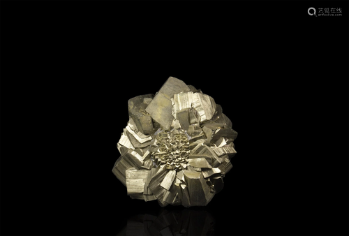 Pyrite 'Fool's Gold' Rose Mineral Specimen