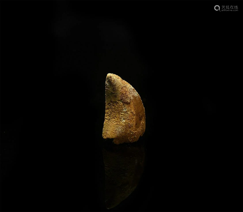 Fossil African 'T-Rex' Dinosaur Tooth