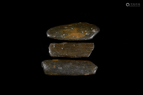 Historic British Whale Bone Collection