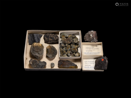 Historic British Fossil Collection