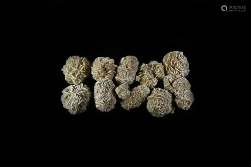 Large Desert Rose Mineral Specimen Collection