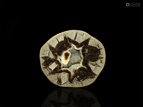 Cut and Polished Septarian Egg Mineral Specimen