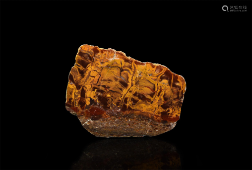 Australian Domal Stromatolite Polished Slice