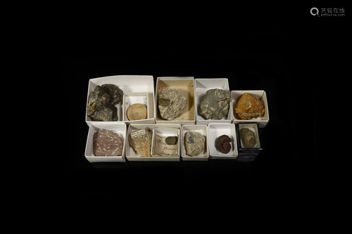 Historic British and Other Fossil Collection