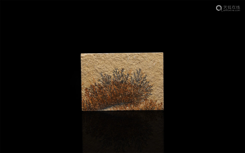 Dendrites on Shale Panel Mineral Specimen