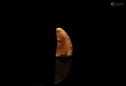 Fossil African 'T-Rex' Dinosaur Tooth