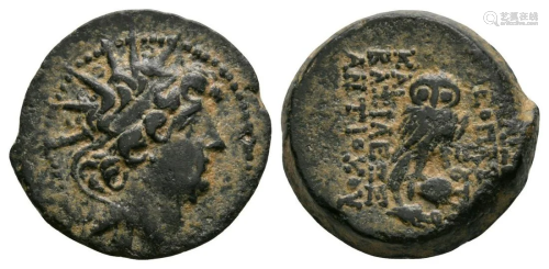 Seleukid - Antiochus VIII and Cleopatra - Owl Bronze
