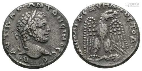 Caracalla - Syro-Phoenician - Eagle Tetradrachm