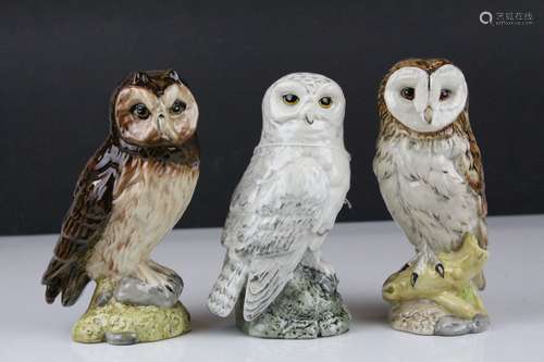 Three Royal Doulton ' Whyte & Mackay Scotch Whiskey ' Owl Decanters including Barn Owl, Snowy Owl