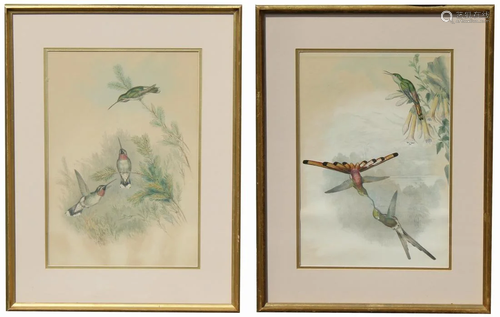 (2) American School Mixed Media Paintings of Birds