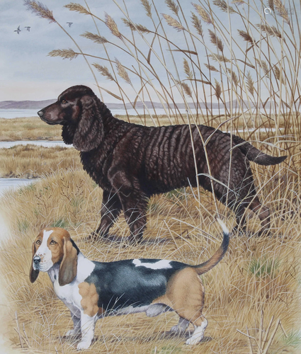 Peter Barrett (B. 1935) Spaniel and Basset Hound