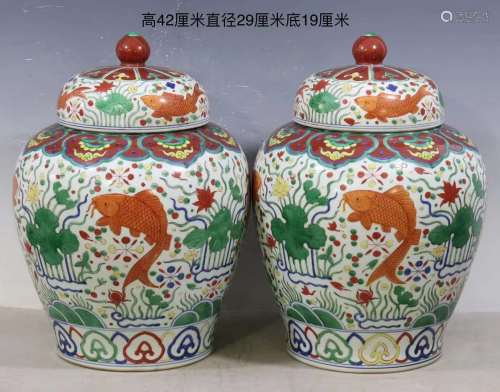 斗彩鱼纹水草盖罐，大明嘉靖年制款
Jiajing period of the Ming Dynasty,contending colors of glaze fish pattern aquatic lid jar