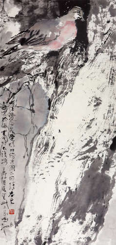 杨善深（1913-2004）鸽子 设色纸本 立轴