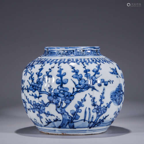 A Chinese Blue and White Porcelain Jar