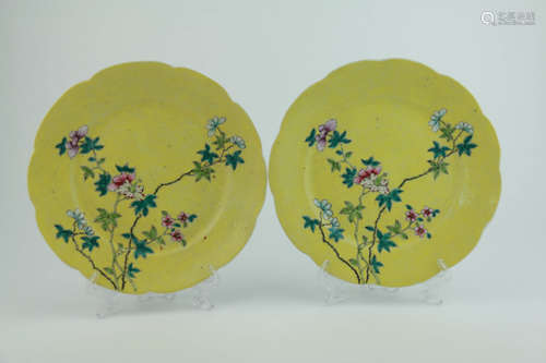 A Pair of Chinese Famille Rose Floral Porcelain Plates