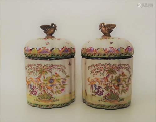 Pair of 19th Chinese famille rose procelain vase with