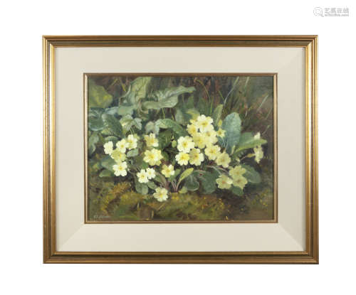 GERALDINE O'BRIEN (1922-2014) Primroses Oil on canvas, 38 x 49cm Signed