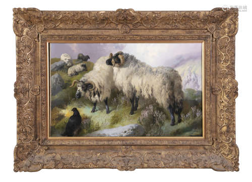 G.W. HOLOUR (19TH CENTURY) Mountain Rams with Black Cock Oil on canvas, 55 x 37cm Label verso