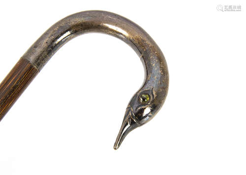 An Edwardian silver plated lady's cane, the silver plated loop handle in the form of a swan's neck