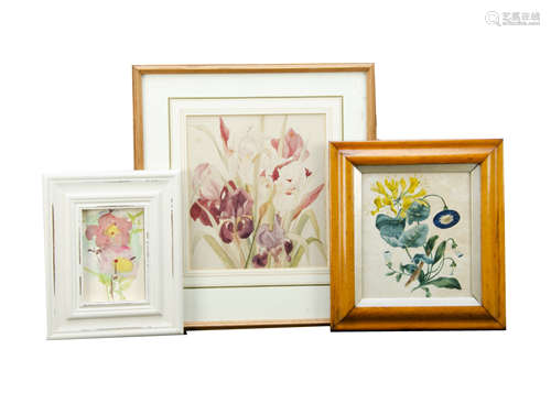 A small collection of 19th Century and later botanical prints, watercolours, including a maple