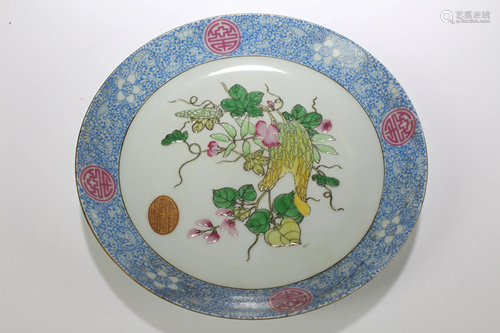 A Porcelain Plate Display in Fencai Polychrome Enamels