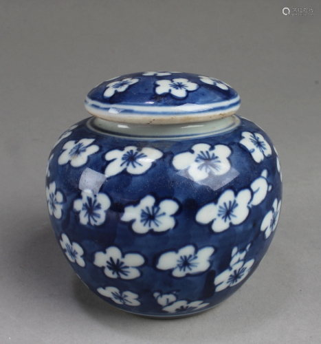 Chinese Blue & White Tea Leave Container