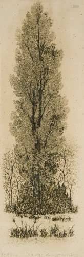 Kenji Ushiku, Japanese 1922-2012- Poplar; etching in colours on wove, signed, titled and numbered