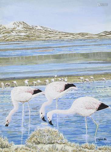 Carol Ogilvie, Scottish, mid-late 20th century- Chilean Flamingos, Greater Flamingos, Lesser