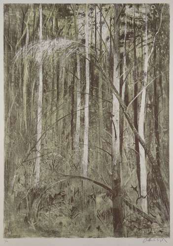 Arthur Boyd AC OBE, Australian 1920-1999- Suffolk Woods, 1981; lithograph in colours on wove, signed