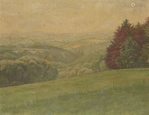 D Wood, British, early-mid 20th century- Rural landscape; oil on canvas, signed, inscribed Wood