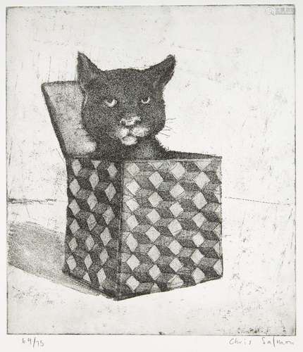 Chris Salmon, British 20th century- Untitled, cat in a box; etching on wove, signed and numbered