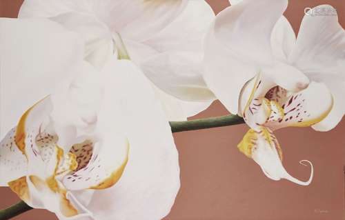 Rochelle Andrews, New Zealander b.1975- Amber Orchids; acrylic on canvas, signed, 90x140cm, (