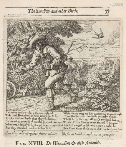 Francis Barlow, British 1626-1702- De Hirundine et Aliis Aviculis, from Aesop's The Swallow and