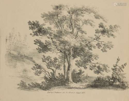 Frederick Calvert, British c.1785-1845- Studies of Trees, Drawn from Nature, August 1822;