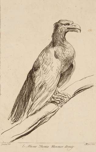 Arthur Pond, British 1701-1758- An eagle perching on a branch, in profile to right, after