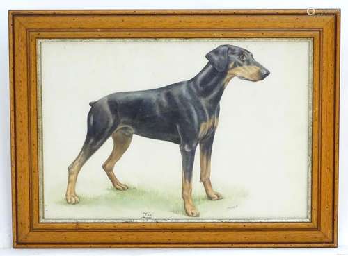 H Bocking, XX, Watercolour, Jay, A portrait of a doberman dog. Titled under and signed lower