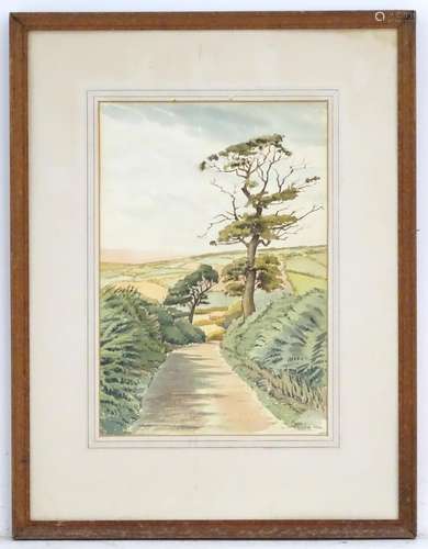 David Evans, XX, English School, Watercolour, Devon Lane, A landscape scene with a narrow country