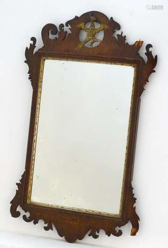 A Regency mahogany mirror with a carved pierced frame depicting a golden bird above a gilt wood