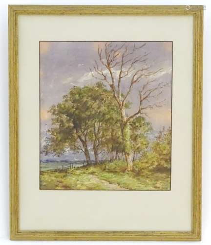 Richard Henry Nibbs (1816?1893), English School, Watercolour, A wooded landscape scene with a figure