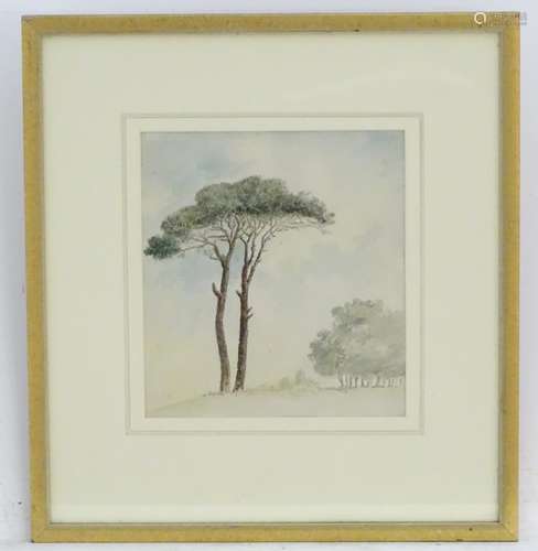 Charles Gore (1729-1807), XVIII, English School, Watercolour, Trees in Italy, A study of Italian