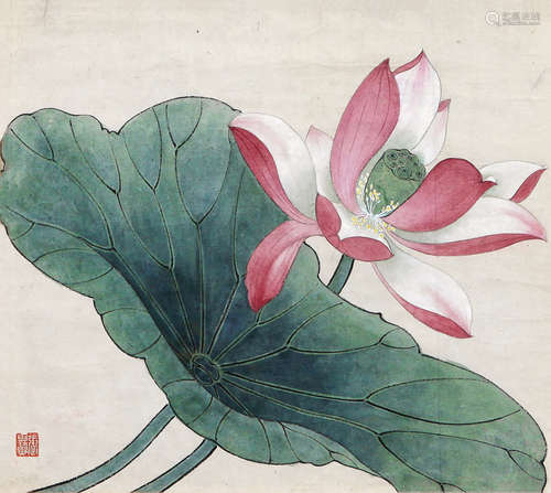 张其翼（1915-1968） 荷花 纸本设色 镜框