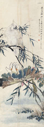朱梦庐（1826-1990） 鹦鹉 纸本设色 立轴
