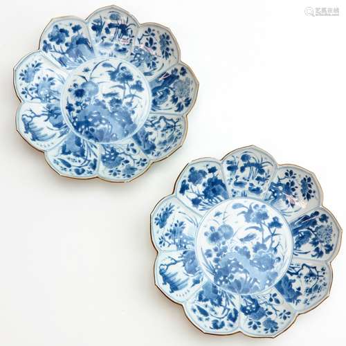 A Pair of Blue and White Plates