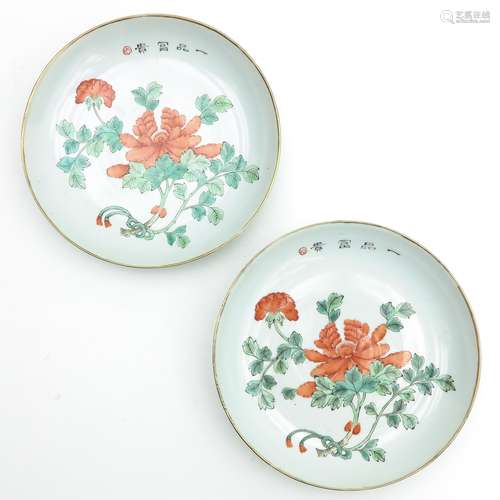 A Pair of Polychrome Plates